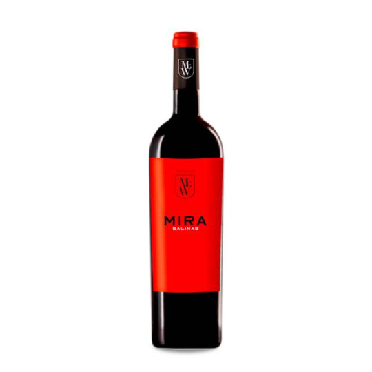 Mira Salinas 2017
