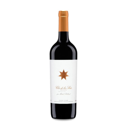 Clos de los Siete 2020