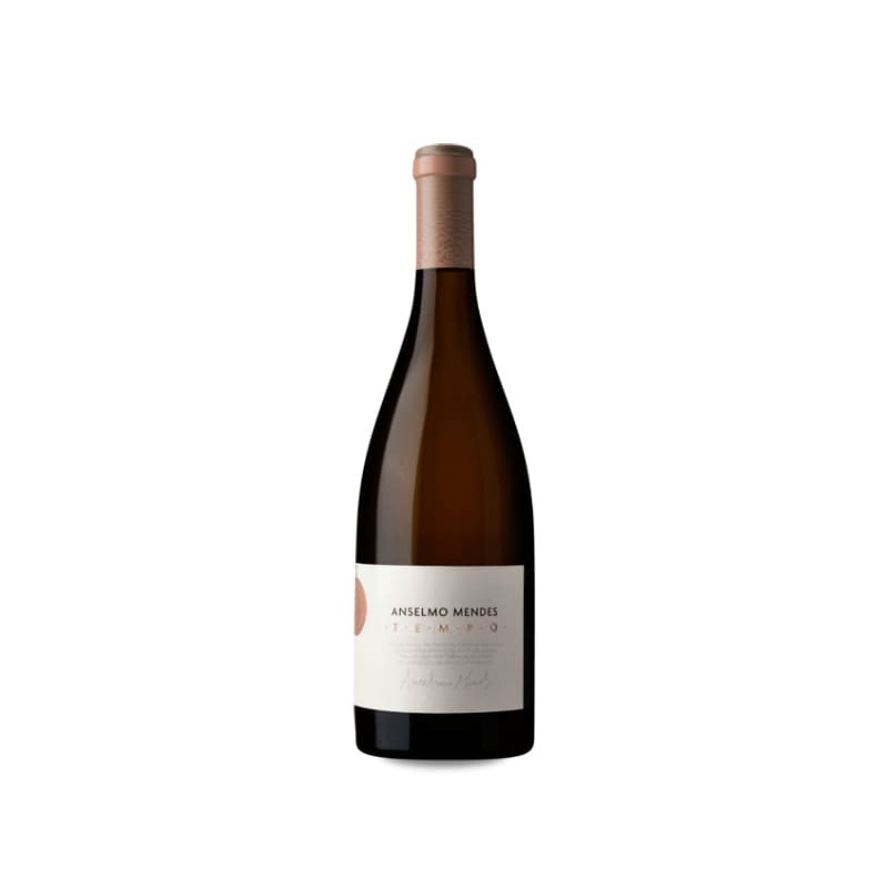Anselmo Mendes Tempo 2020