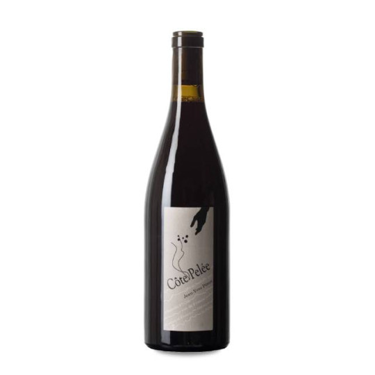 Jean-Yves Péron Côte Pelée...