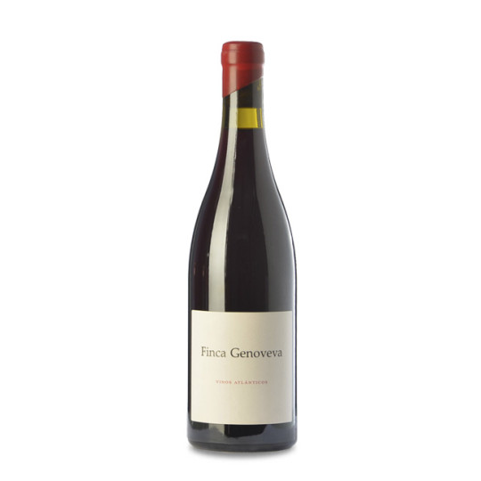 Finca Genoveva Caíño 2022