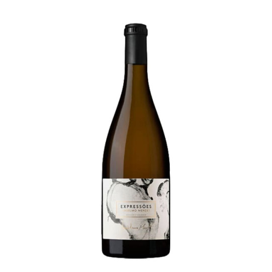 Anselmo Mendes Expressões 2021