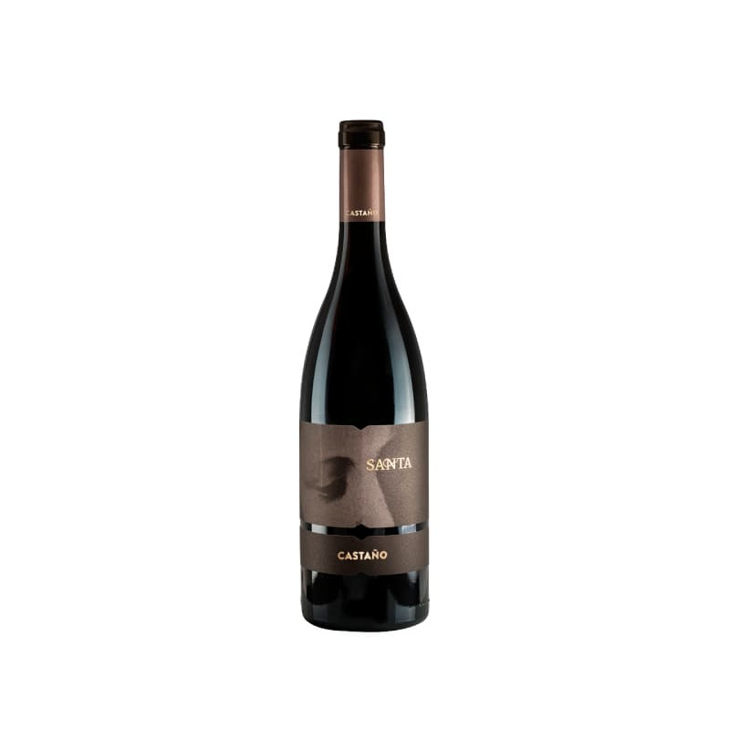 Santa Castaño 2020