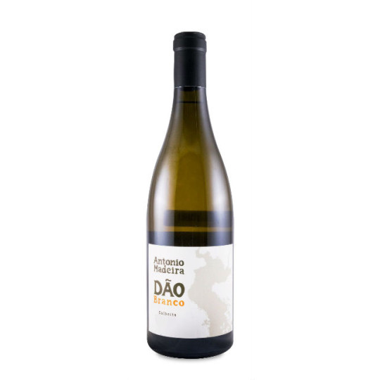 António Madeira Branco 2023