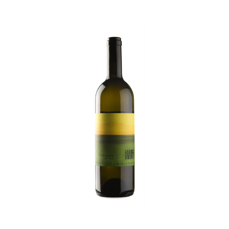Muster Sauvignon vom Opok 2023