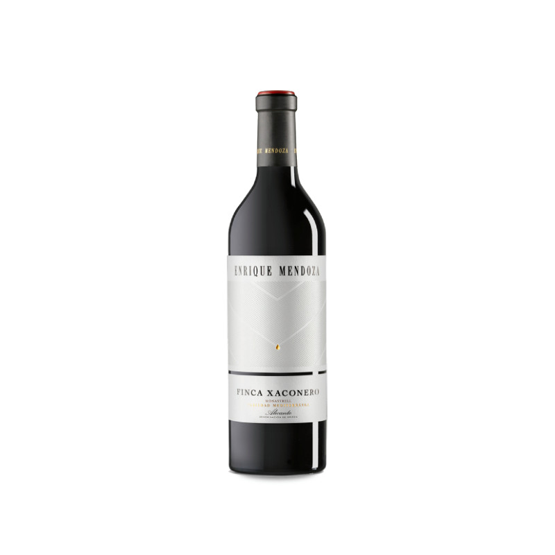 Enrique Mendoza Finca Xaconero 2017 2023