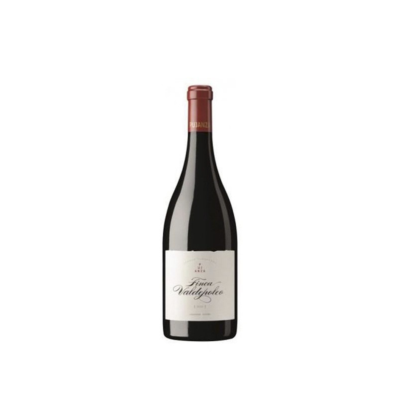 Pujanza Finca Valdepoleo 2021