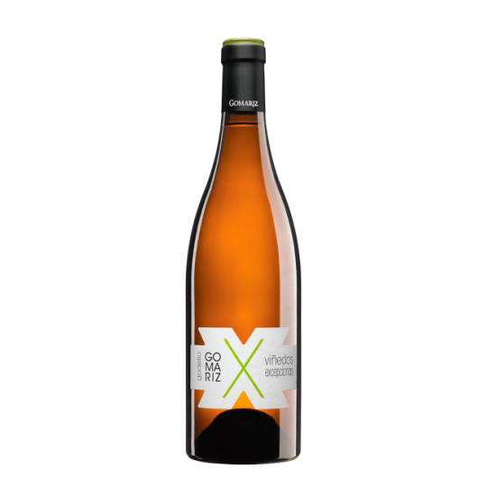 Gomariz X Godello 2024