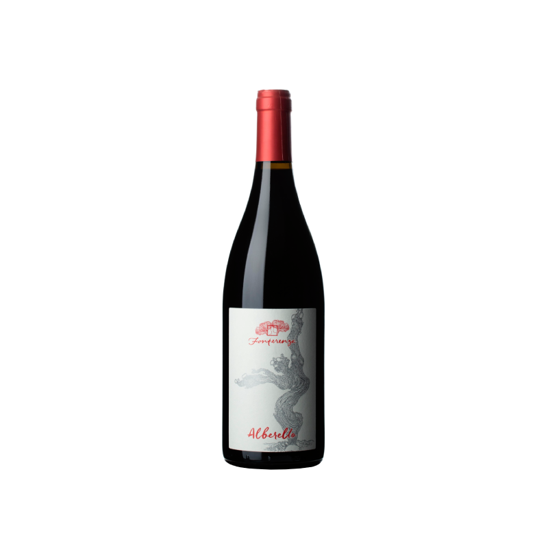 Fonterenza Rosso di Montalcino Alberello 2021