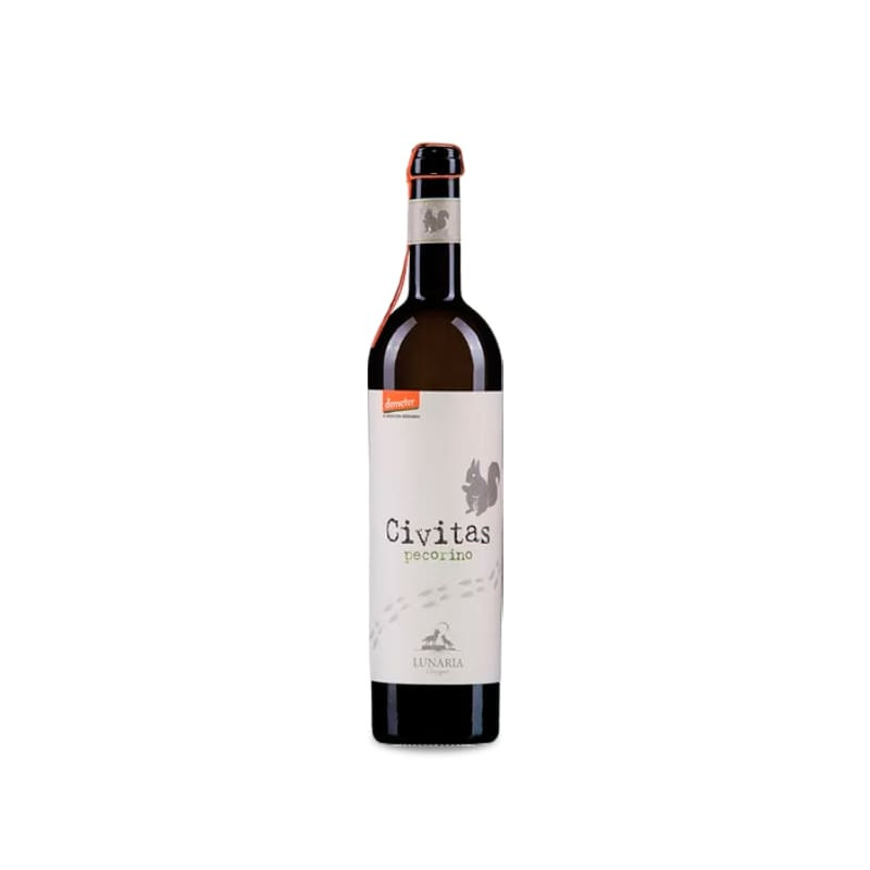 Cantina Orsogna Lunaria Civitas Pecorino 2025