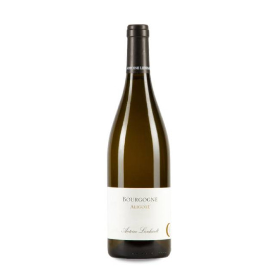 Antoine Lienhardt Bourgogne...