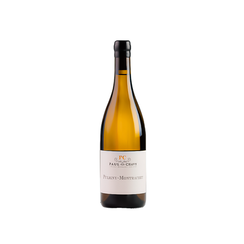 Camille & Guillaume Boillot Puligny-Montrachet 1er Cru "Champ Gain” 2023