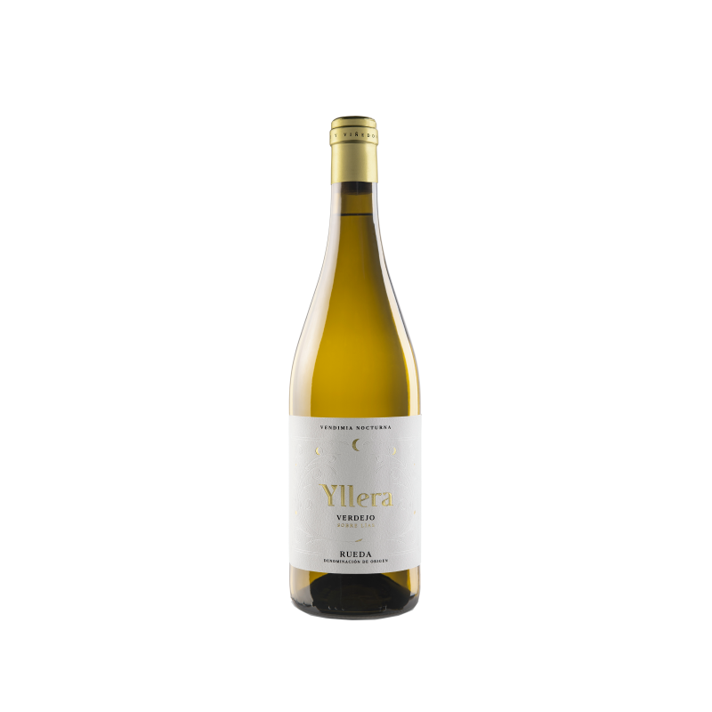 Yllera Verdejo Vendimia Nocturna 2025