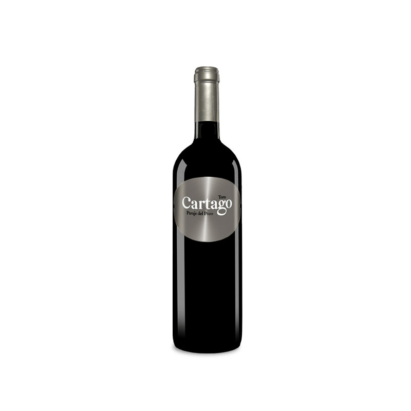 Bodegas y Viñedos San Román Cartago Paraje del Pozo 2021