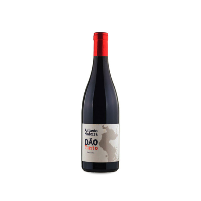 António Madeira Tinto 2022