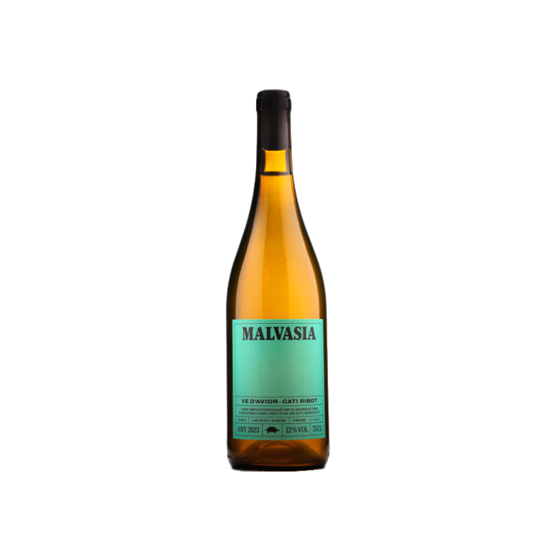 Cati Ribot Malvasia 2025