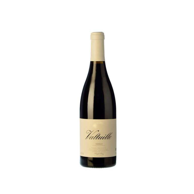 Castro Ventosa Valtuille Vino de Villa 2024