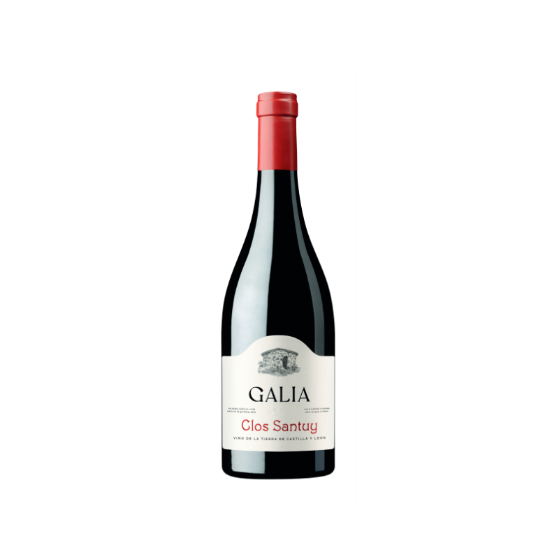 Galia Clos Santuy 2023