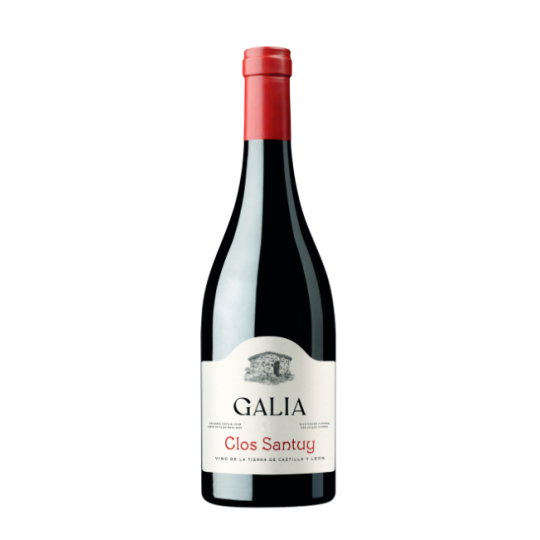 Galia Clos Santuy 2023