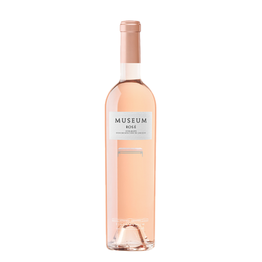 Museum Rose 2024