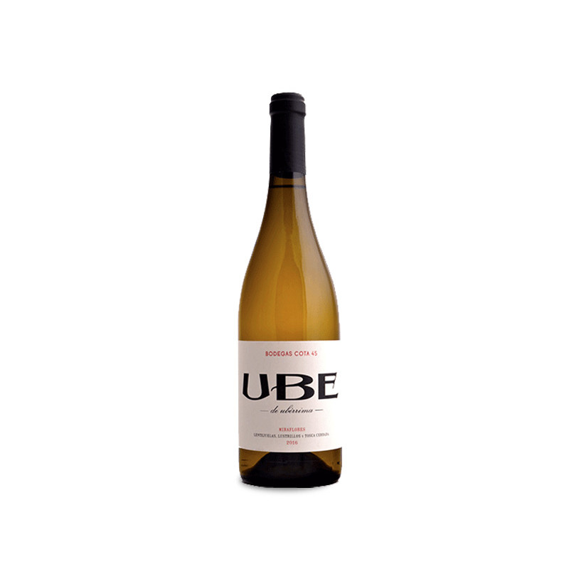 UBE Miraflores 2025