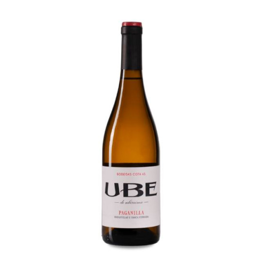 UBE De Uberrima Paganilla 2025