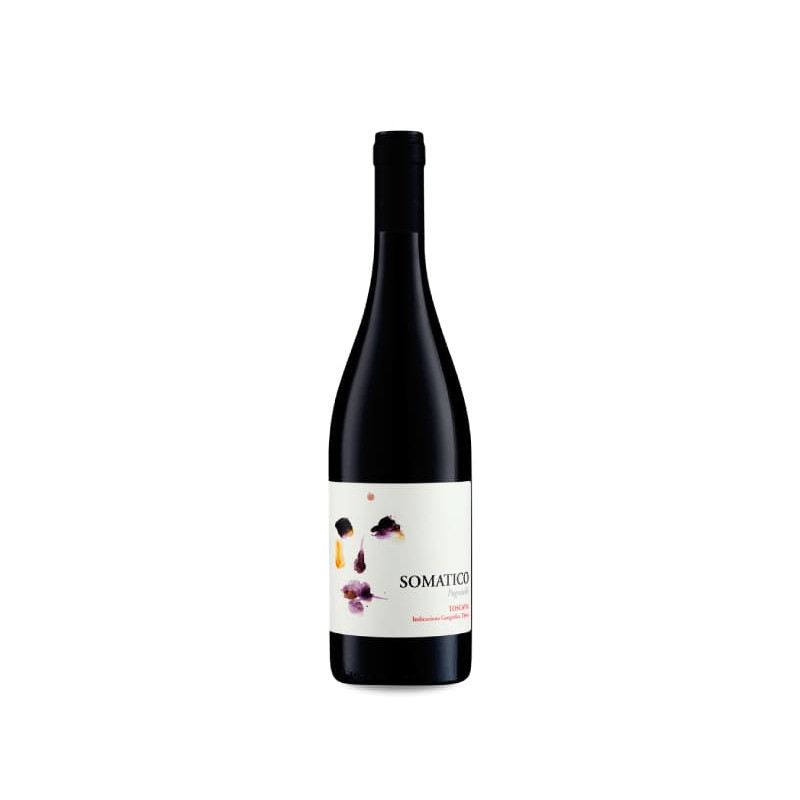 Podere Il Castellaccio Somatico 2023