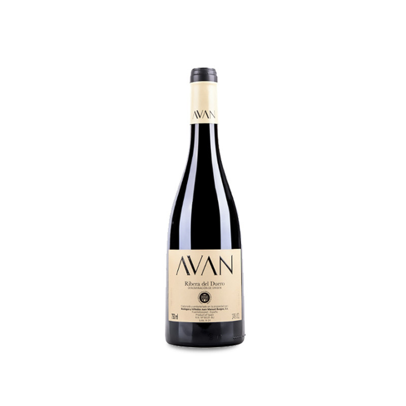 Juan Manuel Burgos Avan Tinto 2024