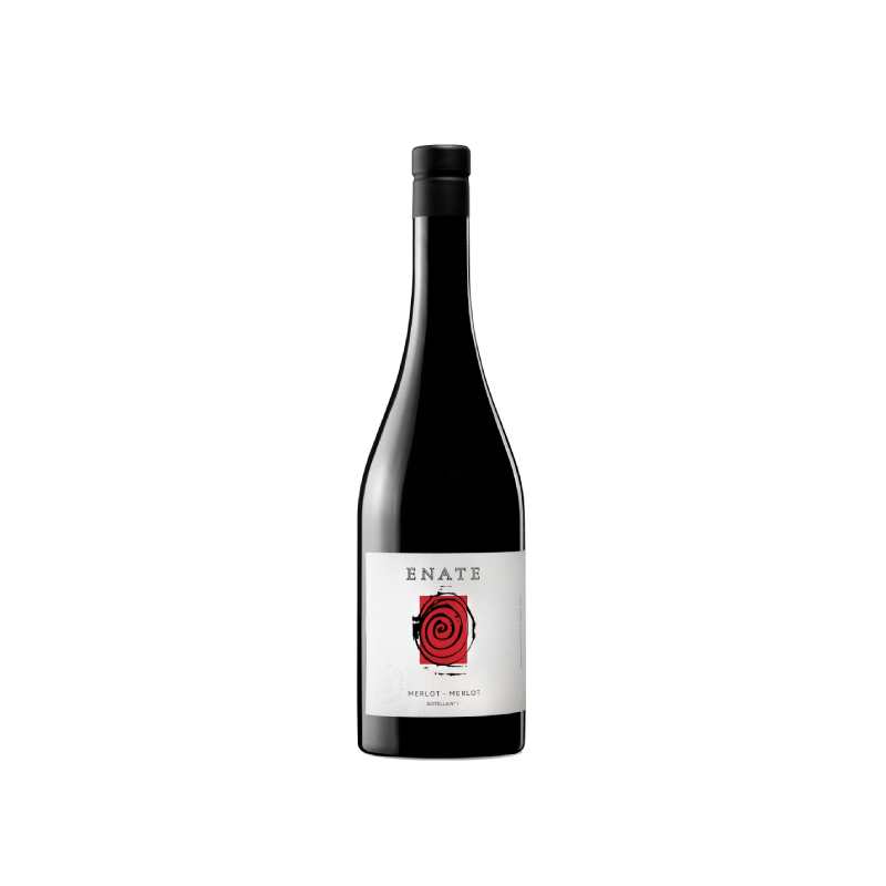 Enate Merlot-Merlot 2023
